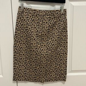 J Crew Skirt